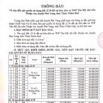 Thông báo đấu giá QSD đất 22 lô đất tại KDC Tân Mỹ, thị trấn Thuận An, huyện Phú Vang, tỉnh Thừa Thiên Huế