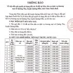 Thông báo đấu giá QSD đất các lô đất tại Kdc Dịch vụ thương mại xã Quảng Thọ, huyện Quảng Điền