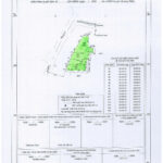 Thông báo đấu giá quyền sử dụng đất gồm 10 lô đất thuộc các khu dân cư xen ghép thôn Nam Dương, Sơn Tùng, Lai Trung, Cổ Tháp xã Quảng Vinh, huyện Quảng Điền, tỉnh Thừa Thiên Huế